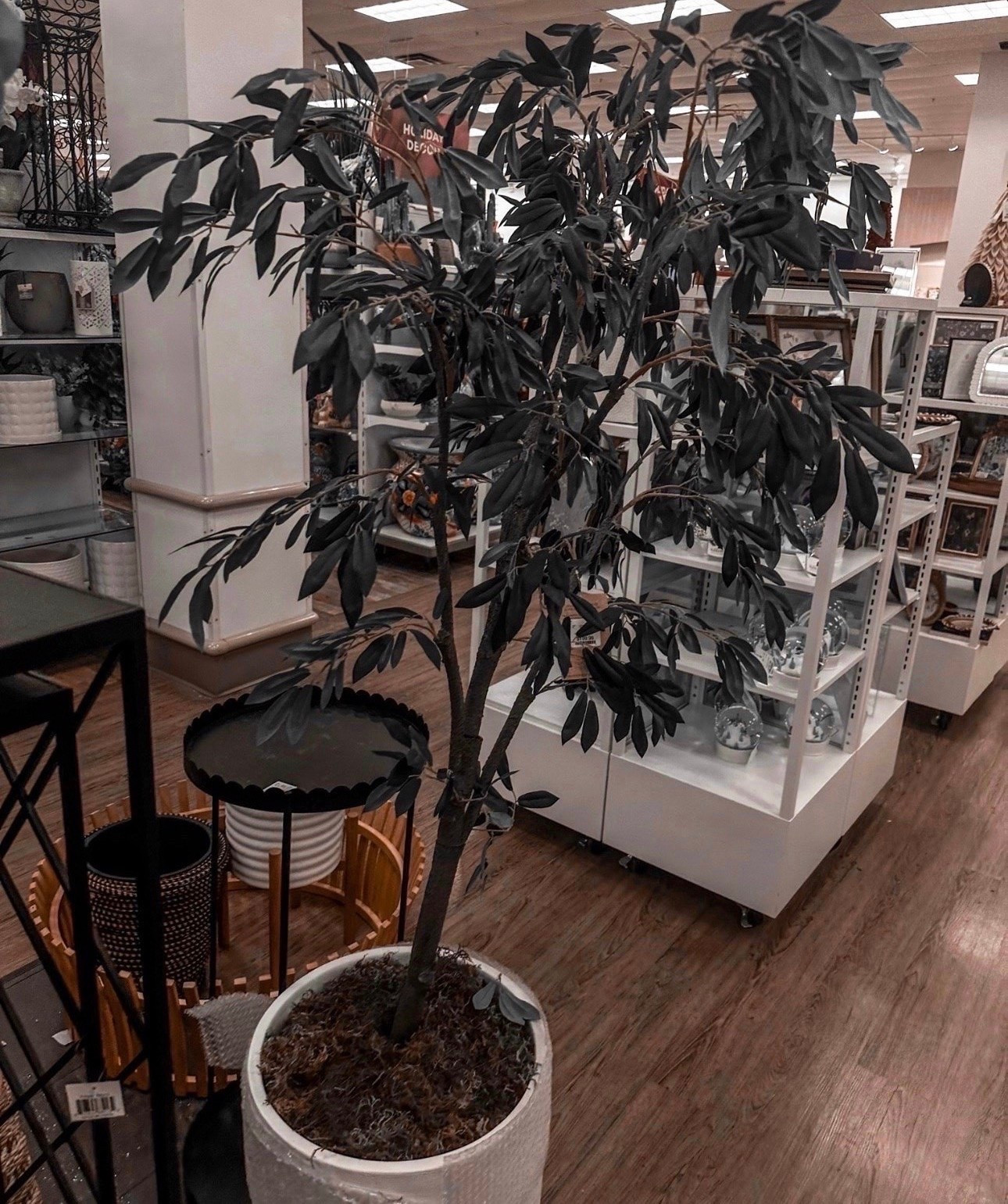 Found the perfect "forever" greenery! 🌿 This olive tree adds that high-end designer look without the maintenance. Perfect for filling that empty corner in your living room or entryway.

#LTKHome