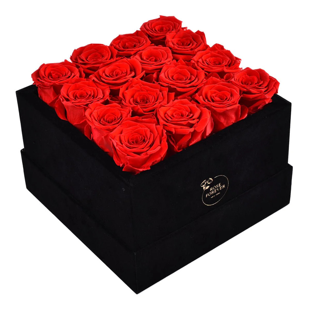 16 Red Roses - Black Square Velvet Box | Rose Forever 