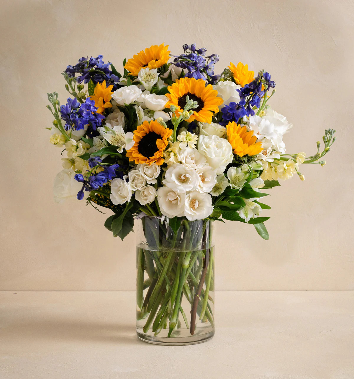 Double The Picket Fence | UrbanStems