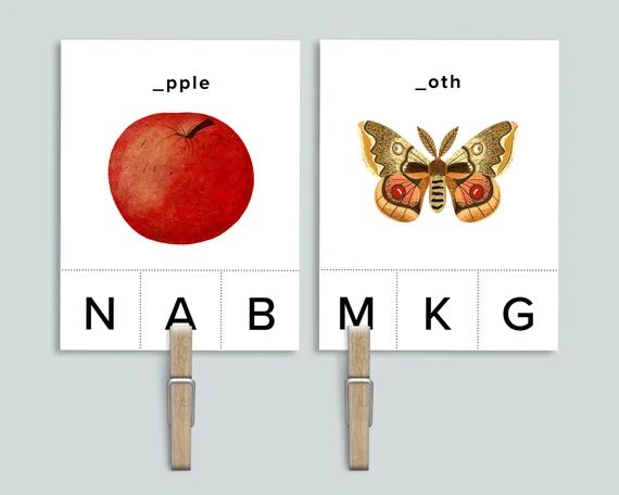 Beginning Sounds Clip Cards  Nature ABC Printable  Phonics - Etsy | Etsy (US)