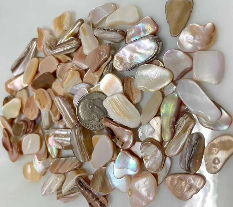 Shell Pieces Mother of Pearl Natural Shell Mosaic Supply A6 - Etsy | Etsy (US)