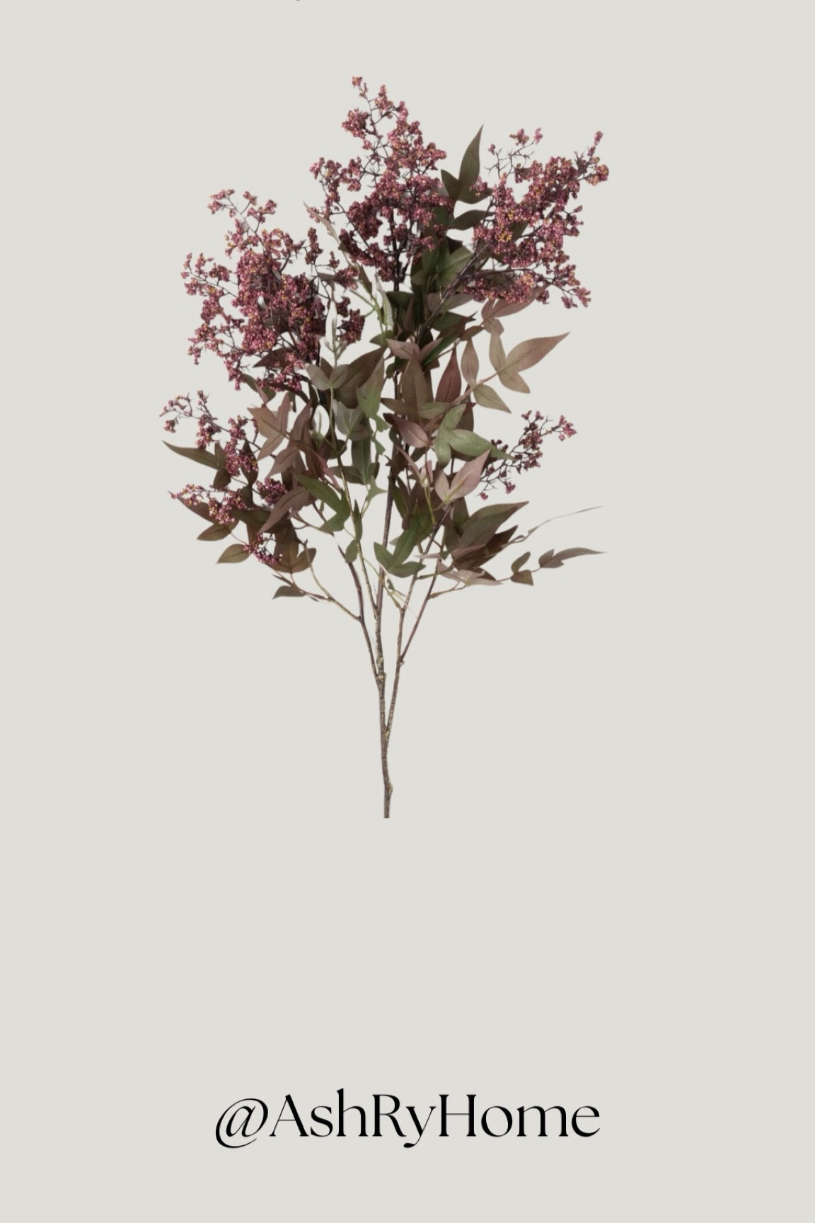 These dusty plum - colored berry bushes are beautiful. The texture and color are so good🤎

Fall, fall stems, fall decor, home decor 

#LTKHome #LTKSeasonal #LTKSaleAlert