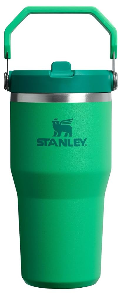 Stanley IceFlow 2.0 Flip Straw Tumbler with Handle 20 oz | Twist On Lid and Flip Up Straw | Leak ... | Amazon (US)