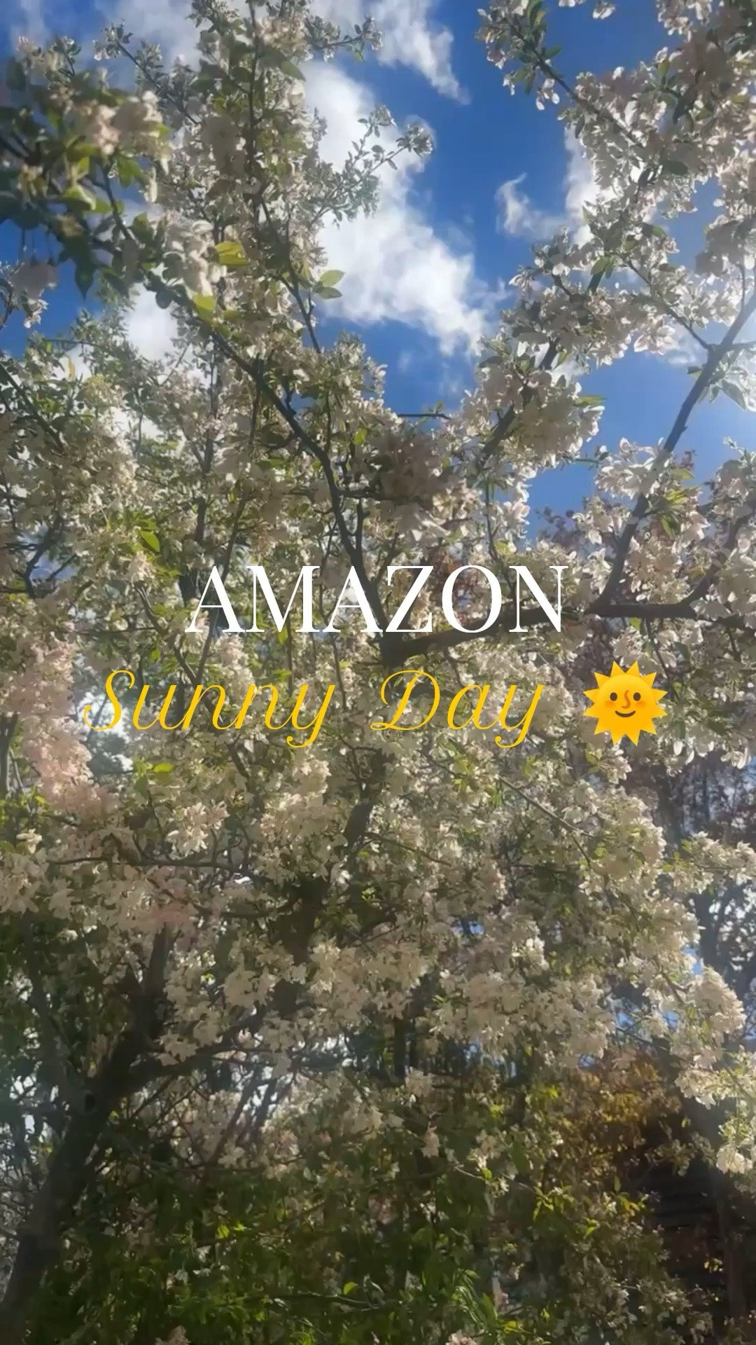 Shop these SUNNY ESSENTIALS! 🌞 #summerfinds #amazonsale #amazonfinds #sunnyday

#LTKdayinmylife #LTKmomlife #LTKSeasonal