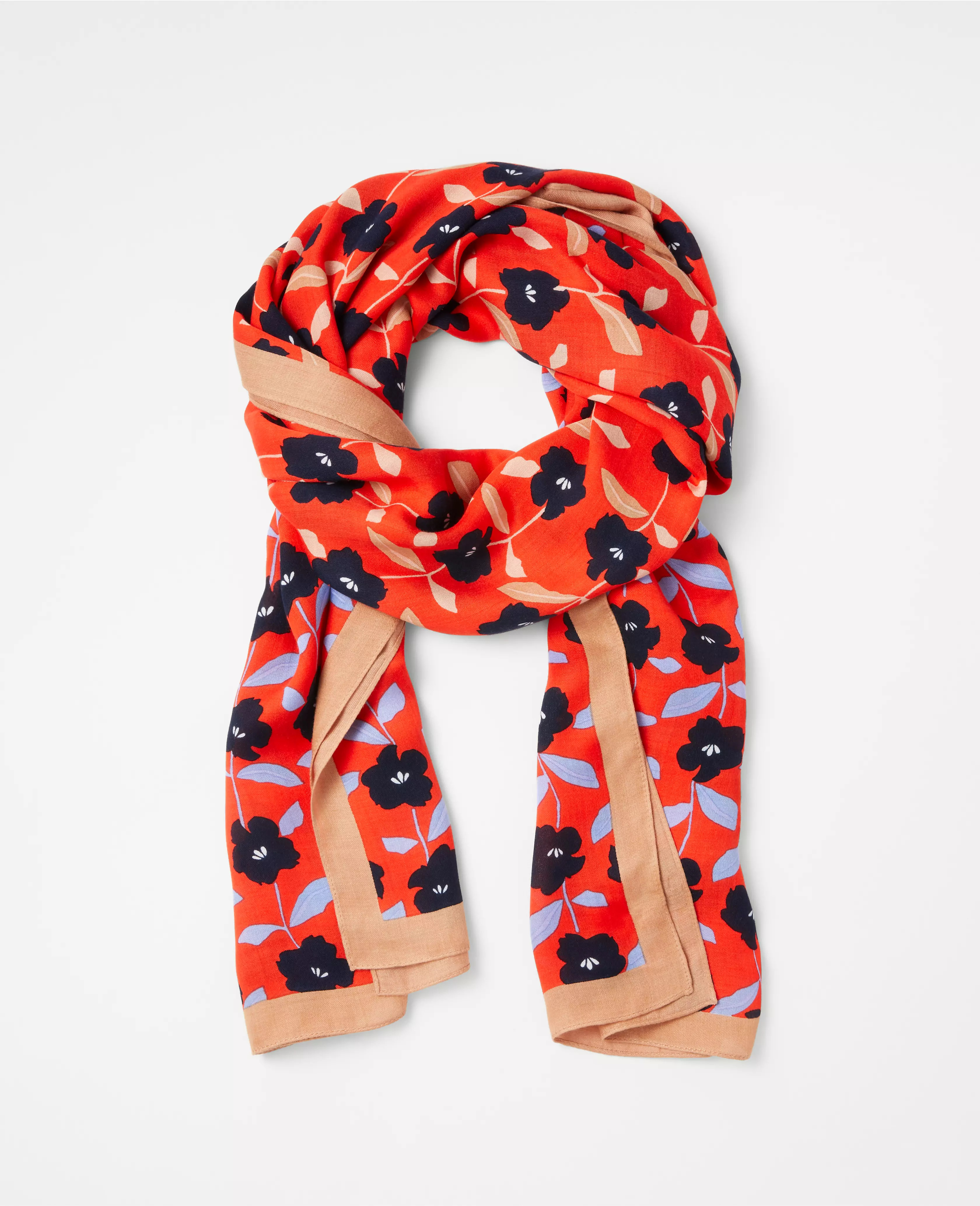 Border Floral Scarf | Ann Taylor (US)