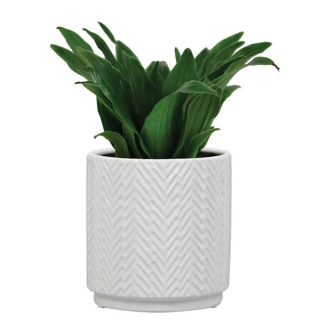 allen + roth 5-in W x 5.31-in H White Ceramic Indoor Planter | Lowe's