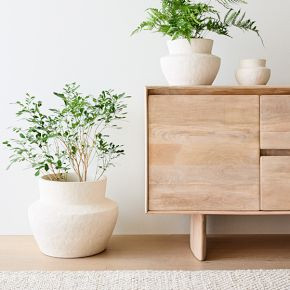 Form Studies Ceramic Planters | West Elm (US)