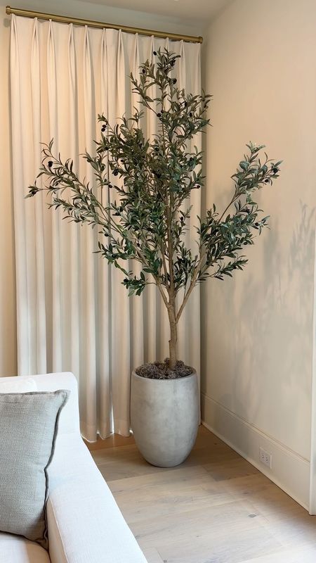 Newest home addition! Love this olive tree and vase from Amazon! ✨

#LTKVideo #LTKSeasonal #LTKhome