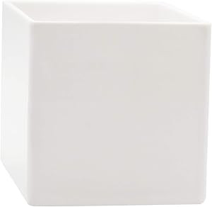 Flower Acrylic Vases Cubes - Decorative Centerpiece for Home or Wedding - Non Breakable Plastic, ... | Amazon (US)