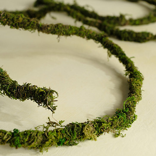 Mossy Vine Garland | Terrain