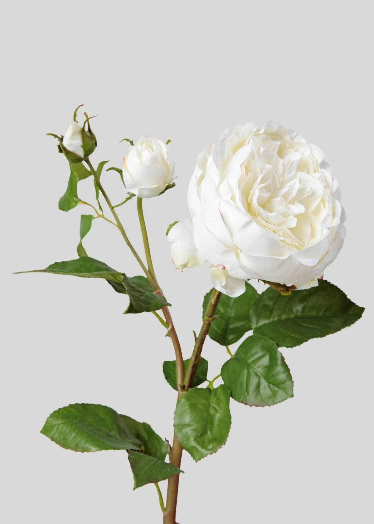 Real Touch Fake Flower English Rose | Fake Flowers at Afloral | Afloral