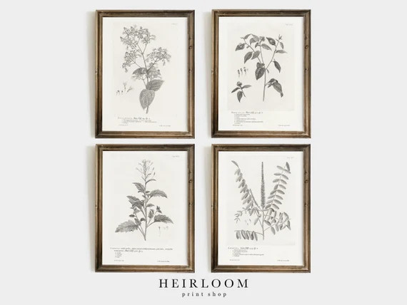 Botanical Prints SET  Farmhouse Decor  Vintage Art  | Etsy | Etsy (US)