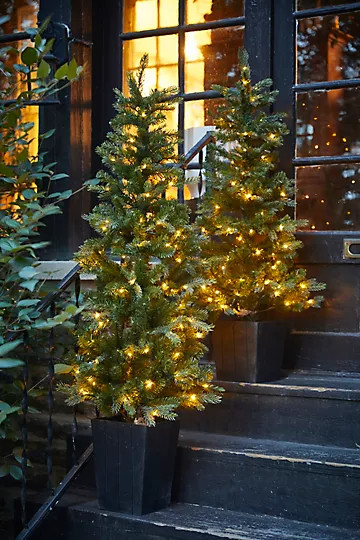 Faux Pre-lit LED Potted Idaho Tree | Anthropologie (US)