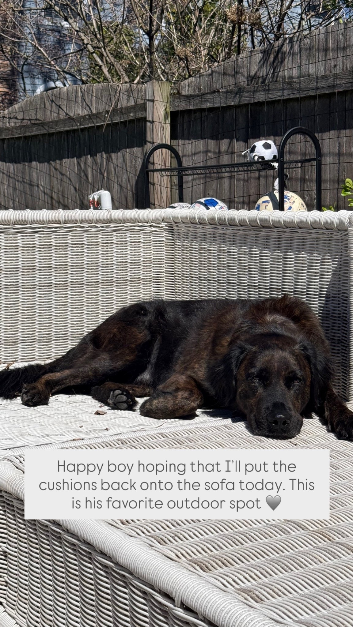 We’ve had this Serena & Lily outdoor sofa for 6 years now and it’s been one of the best investments we’ve made to our backyard. Durable, comfortable and weatherproof 🙌🏻

Outdoor decor, backyard inspo, Serena & Lily furniture, Backyard, spring, outdoor decor, backyard inspo, GIRLONTHEHUDSON 

#LTKdayinmylife #LTKHome #LTKSeasonal