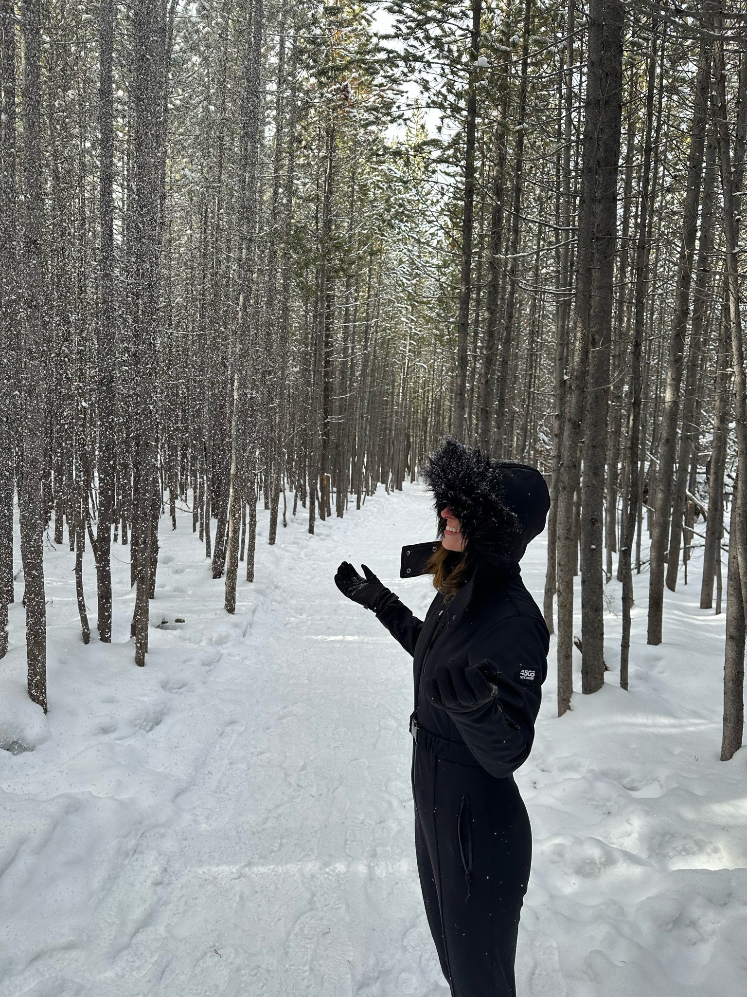 One of my favorite ski suits I’ve ever worn & it kept me extremely warm 👏🏼

These gloves go perfectly with this ski suit also and worked perfectly!

#LTKSeasonal #LTKtravel #LTKover40