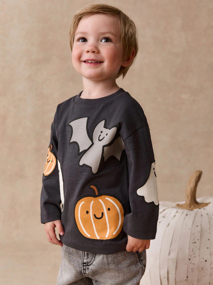 Charcoal Grey Halloween Character Long Sleeve Back Graphic T-Shirt (3mths-7yrs) | Next US