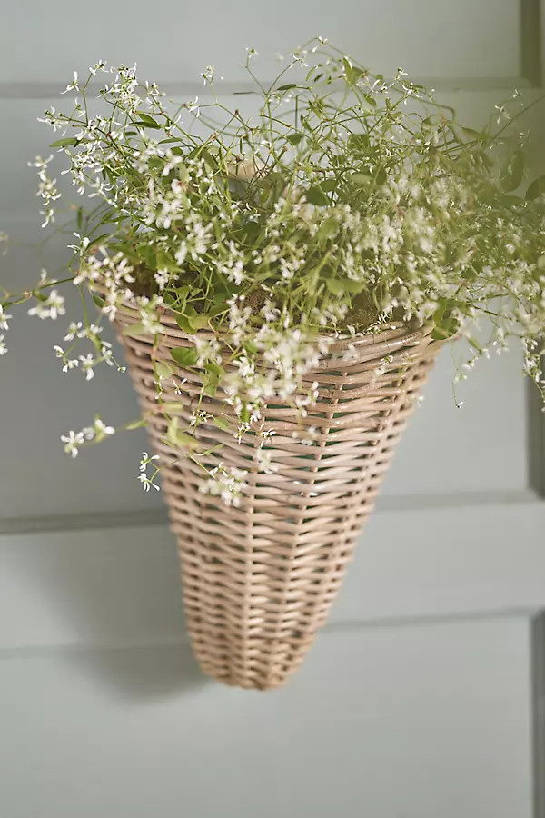 Rattan Wall Cone Planter | Anthropologie (US)