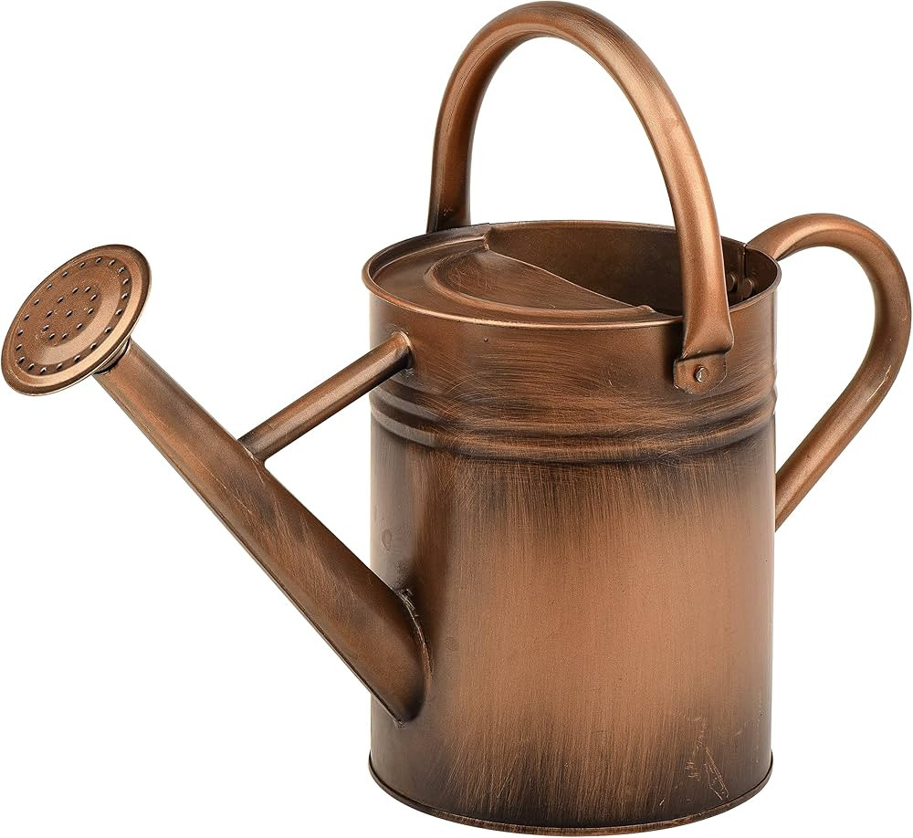 Homarden 1 Gallon Copper Colored Watering Can - Metal Watering Can with Removable Spout, Perfect ... | Amazon (CA)