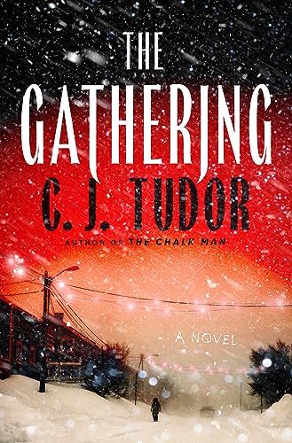 The Gathering: A Novel | Amazon (US)