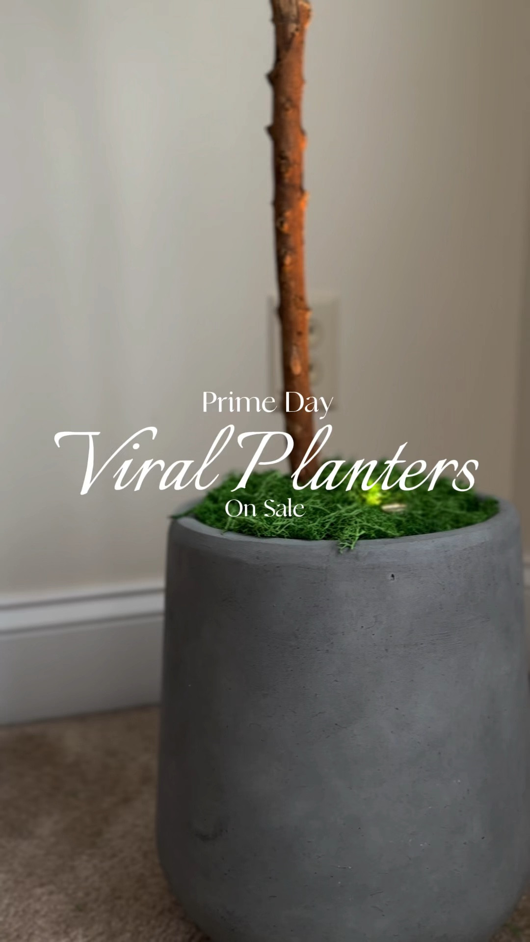 If you have been eying the viral restoration hardware inspired concrete planters, now is the time to take advantage of Prime Big Deal Days sales!

I love my set of cement planters and they are available in a variety of shapes, sizes, and neutral colors. 

Amazon deals, Amazon viral, modern planters, affordable concrete planters, kante planters, cb2 inspired planter, RH inspired, look for less decor, Amazon home, found it on Amazon 

#LTKhome #LTKxPrime #LTKVideo