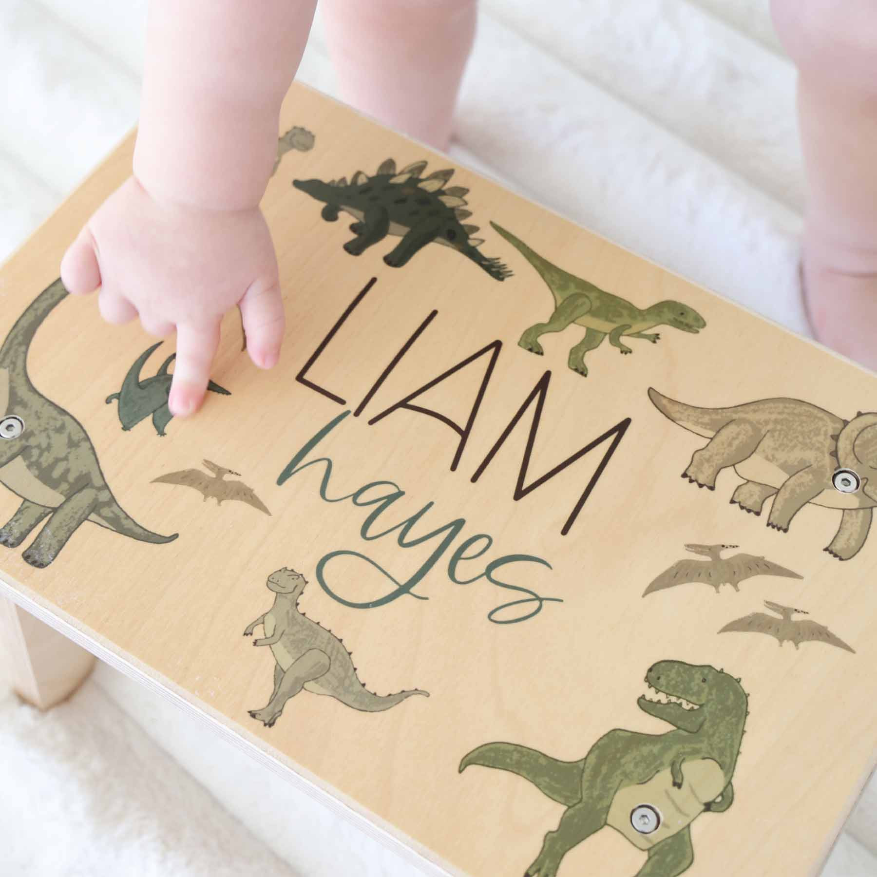 Kids Personalized Step Stool | Dinosaur Friends | Caden Lane