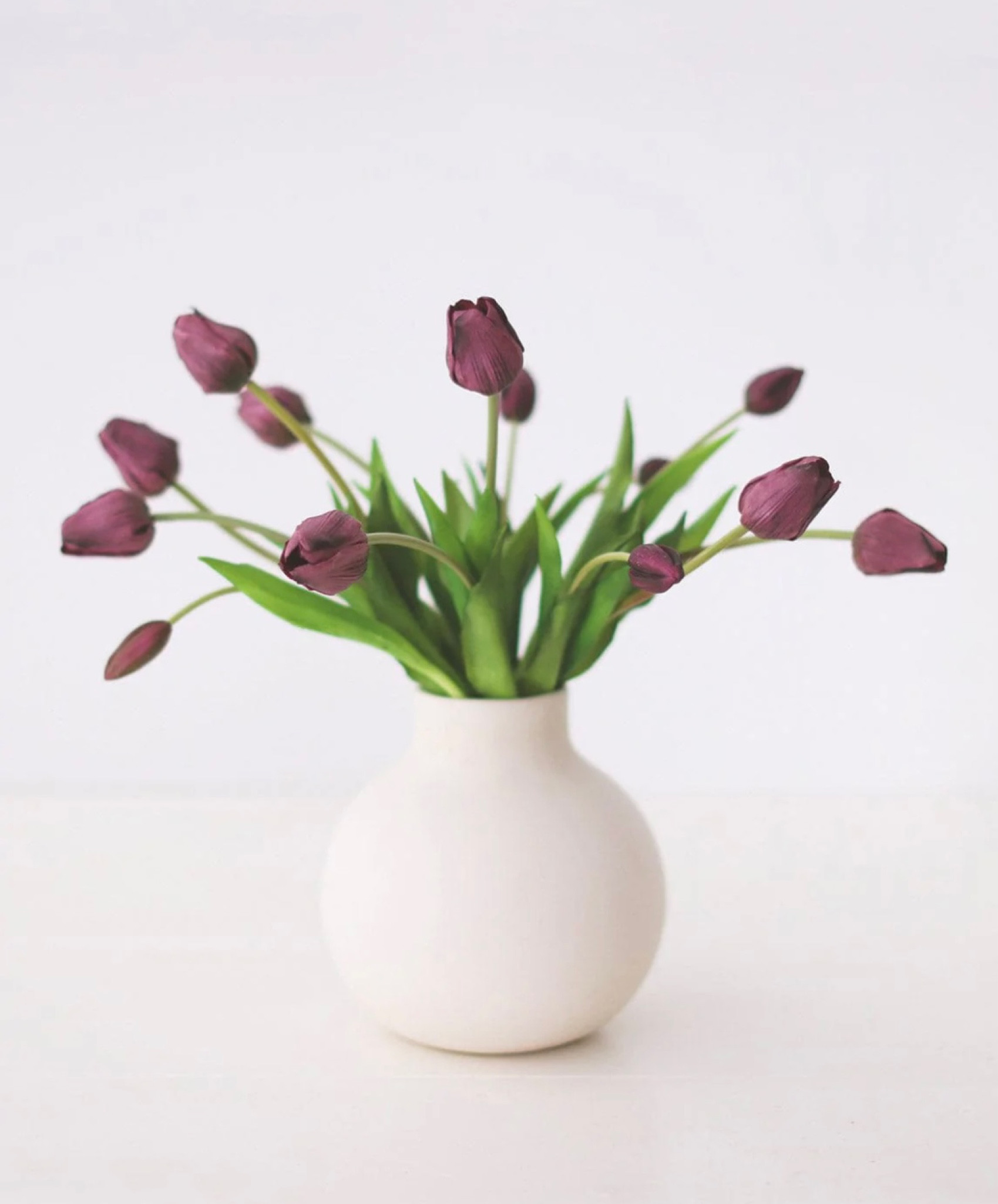 Real touch tulips. These gorgeous faux tulips look and feel real! Great for spring decor. Faux flowers. Faux tulips.

#LTKhome