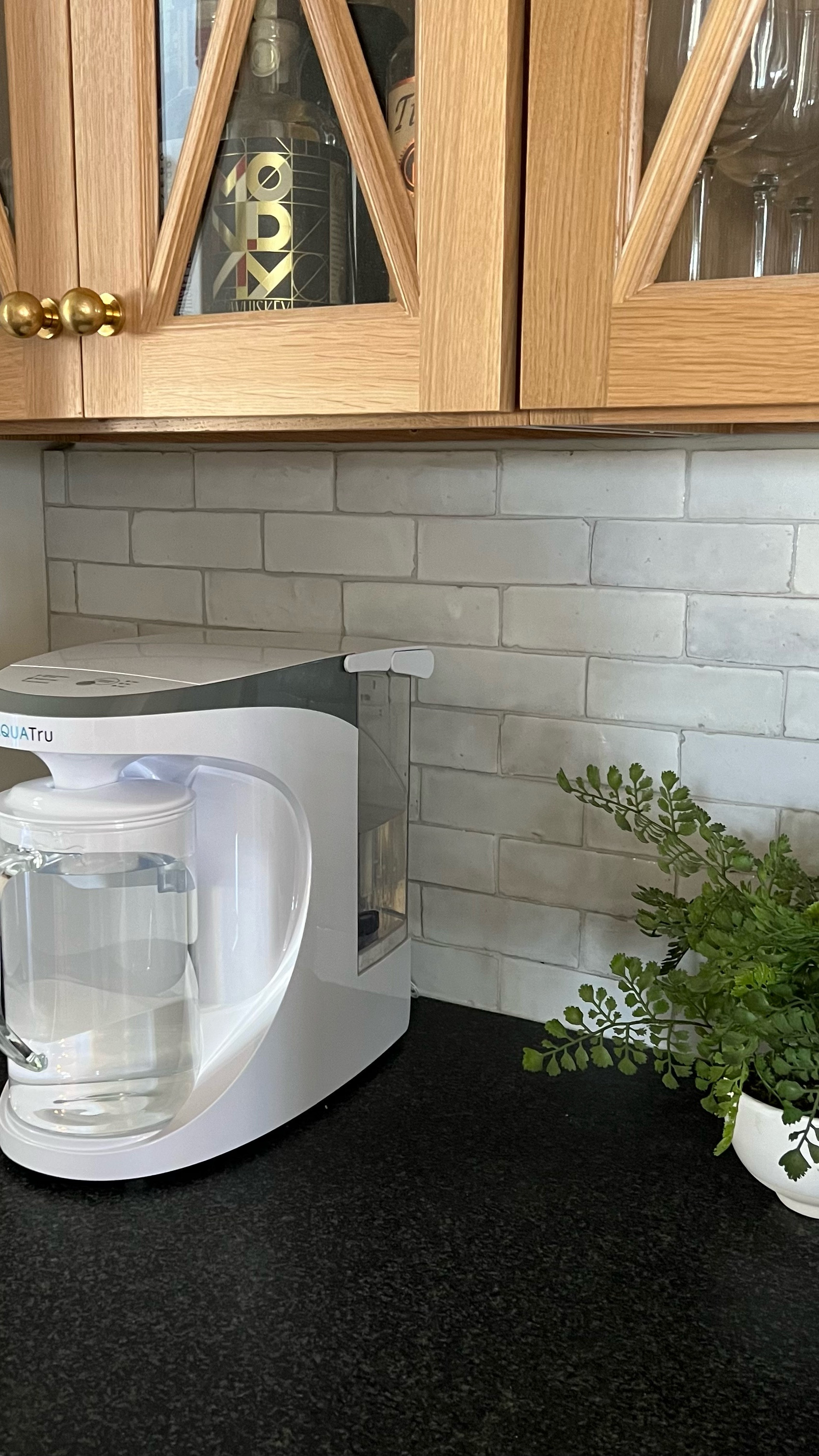 Clean water is a must. We love our Aquatru filter so much!! And it’s currently on sale!