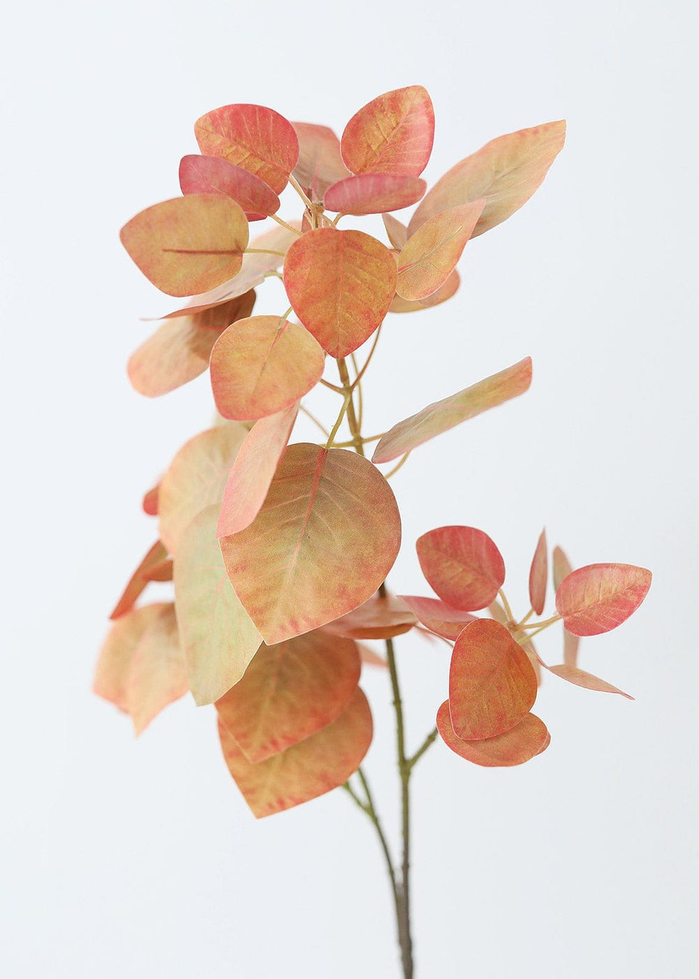Fake Smoke Tree Leaves in Terra Cotta - 28 | Afloral (US)