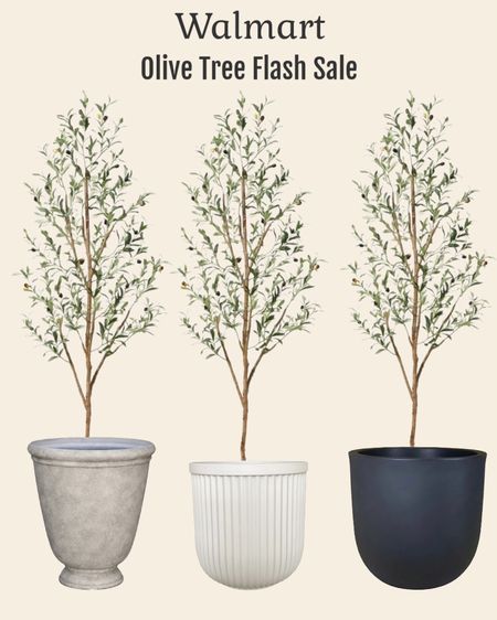 Unbelievable price on the Walmart Olive tree! Add a planter and you have the perfect living room decor. 

#LTKhome #LTKsalealert #LTKSeasonal