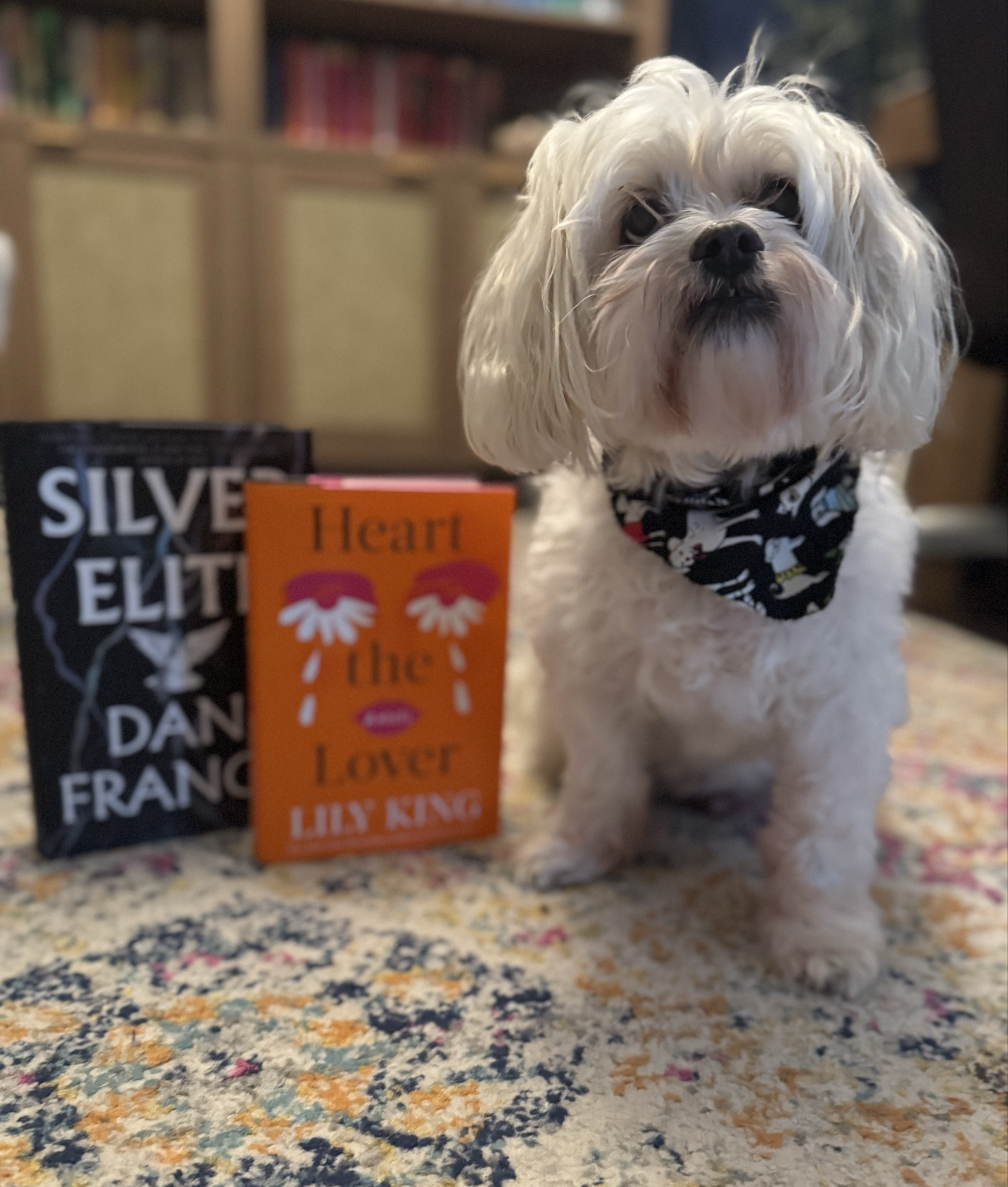 Recent book picks!! 


#LTKHoliday #LTKFindsUnder50 #LTKGiftGuide