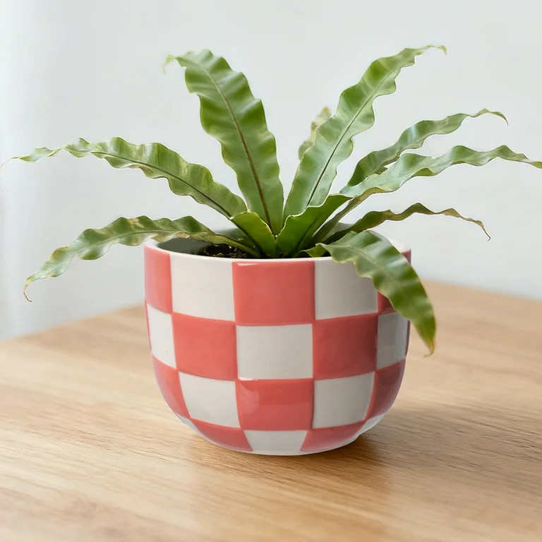 Mainstays Lennon 6" x 6" x 4.5" Round Coral Pink Checkered Ceramic Planter | Walmart (US)
