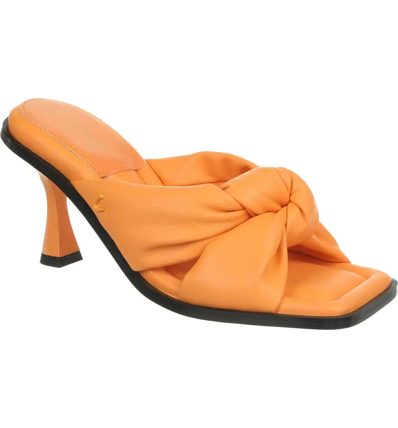 Orange Cream | Nordstrom