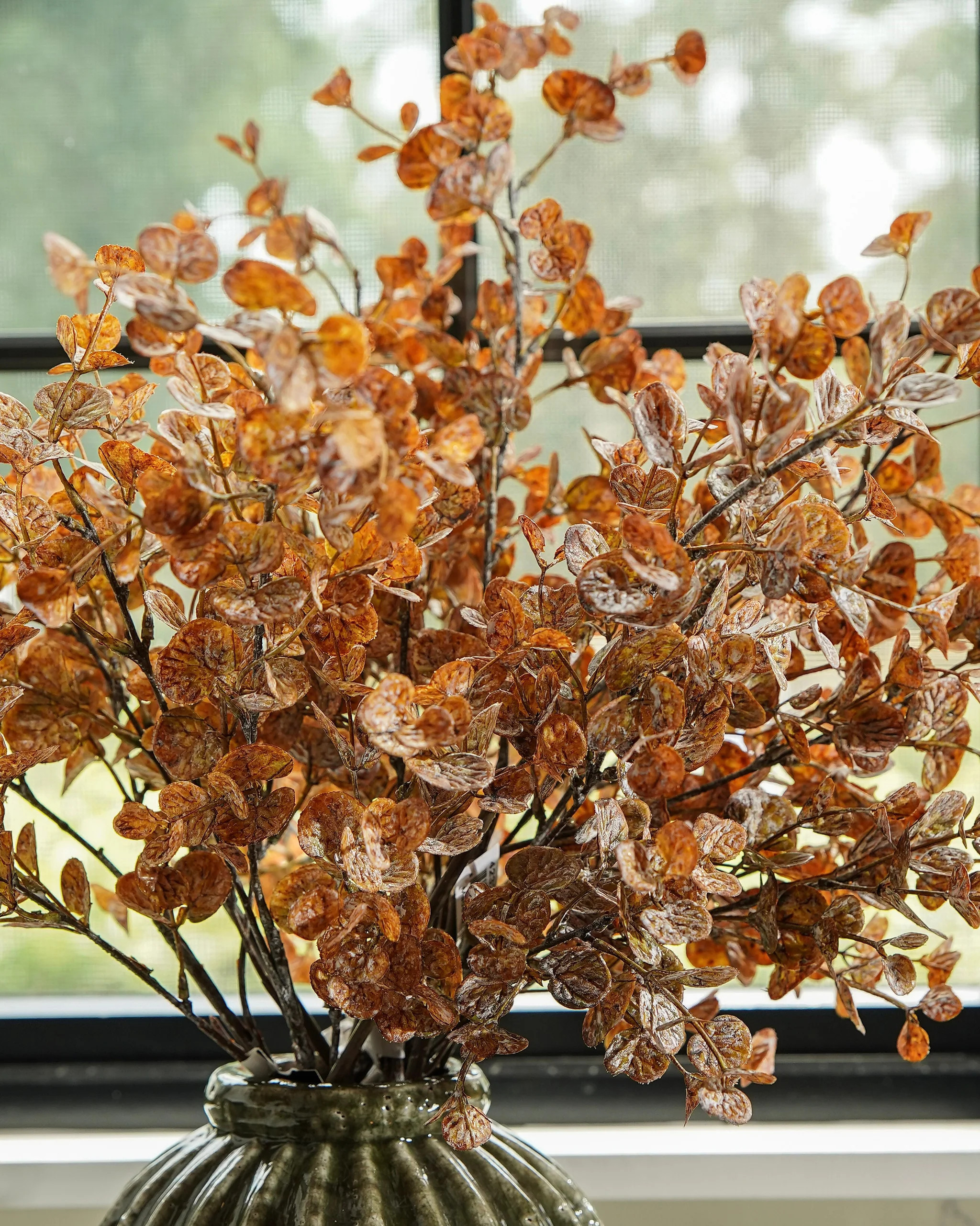 Brown Washed Eucalyptus Stem | MJHome