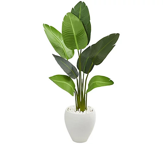4' Travelers Palm Tree in Planter by Nearly Natural - QVC.com | QVC