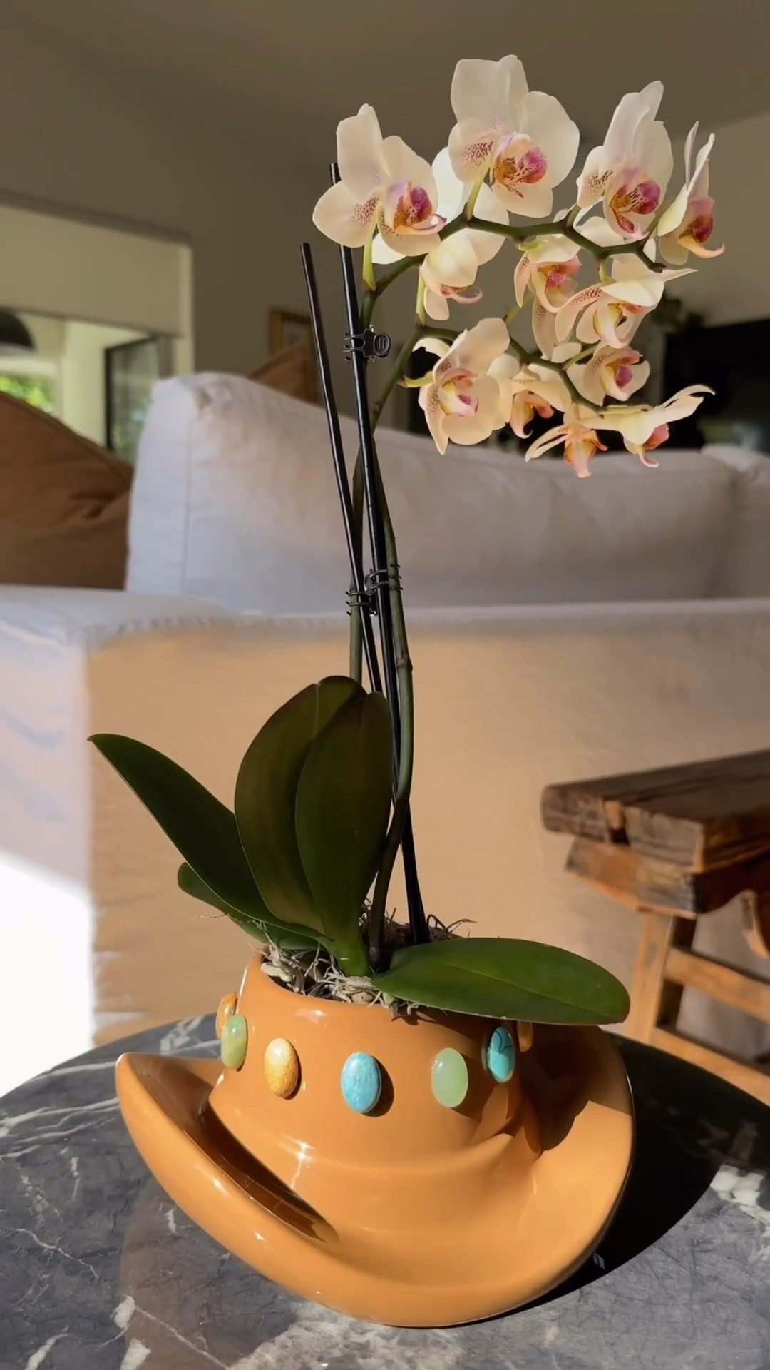 $8 planter upgrade! The cowboy hat planter comes in 2 sizes this is the smaller one. The leather bag is from Amazon 10/10 quality. 