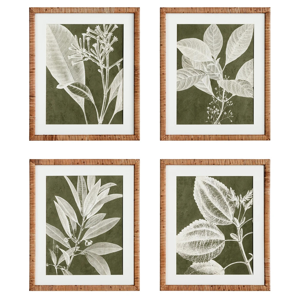 Foliage French Country Green Botanical Rattan Frame Illustration - Set of 4 | Kathy Kuo Home