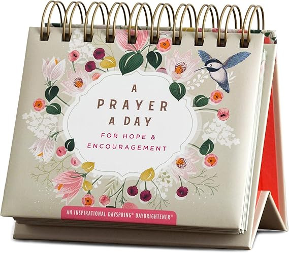 Dayspring - A Prayer a Day for Hope & Encouragement: an Inspirational Dayspring DayBrightener (Pe... | Amazon (US)