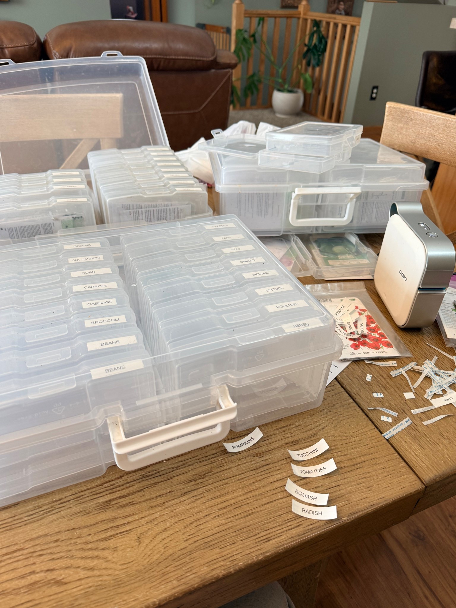 Organizing all my new seeds 