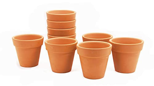 GoldBlue Pack of 10 Terracotta Pots - 3 Inch Terra Cotta Pots with Drainage Holes for Small Craft, Nursery, Cactus, Succulent, Flower Plants | Amazon (US)