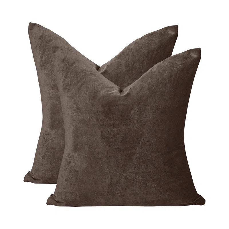 Velvet Throw Square Pillow Cover (Set of 2) | Wayfair North America