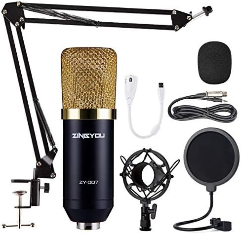 ZINGYOU Condenser Microphone Bundle, ZY-007 Professional Cardioid Studio Condenser Mic Include Ad... | Amazon (US)