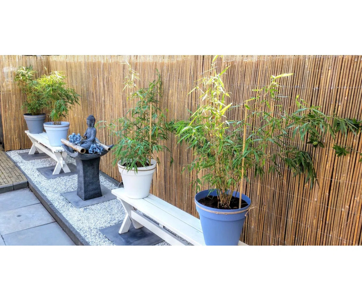 Bamboo Rolled Fence Panel | Wayfair North America