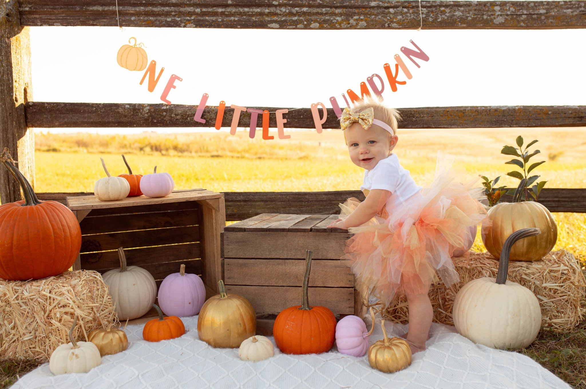 Our little pumpkin is one! Happy Birthday, Millie! 

First birthday outfit, pumpkin outfit

#LTKBaby #LTKSeasonal #LTKFindsUnder50