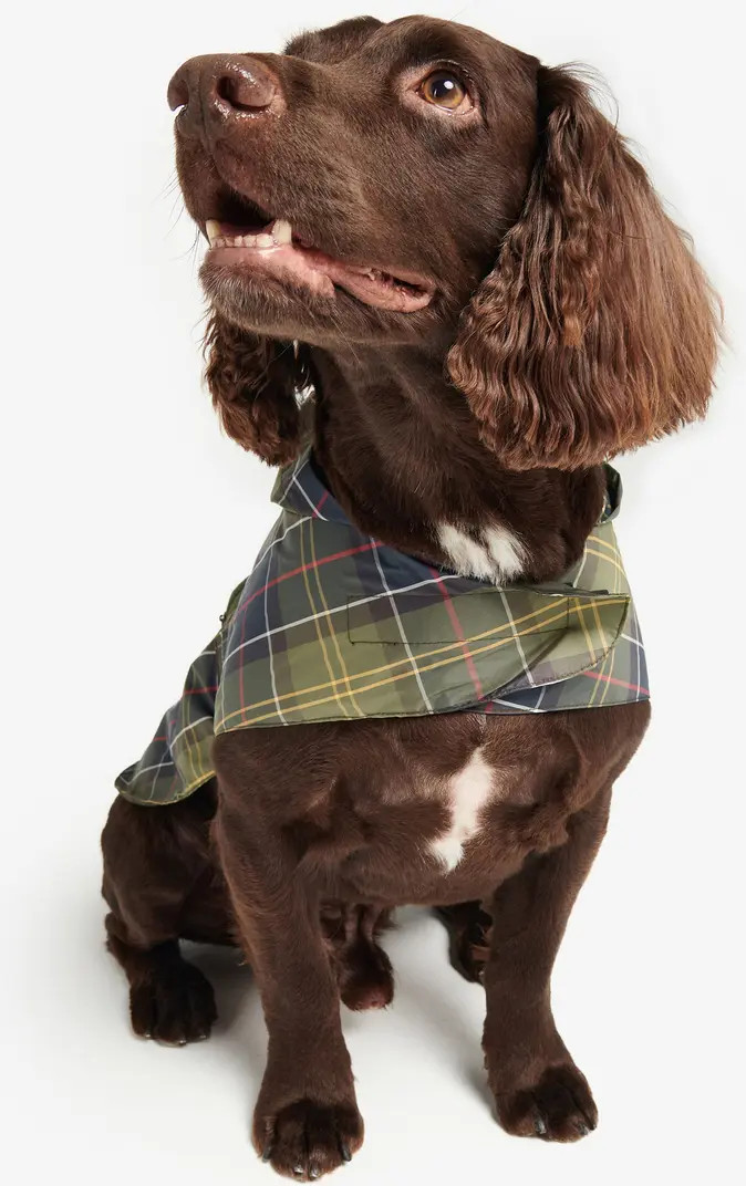 Tartan Showerproof Packable Dog Coat | Nordstrom