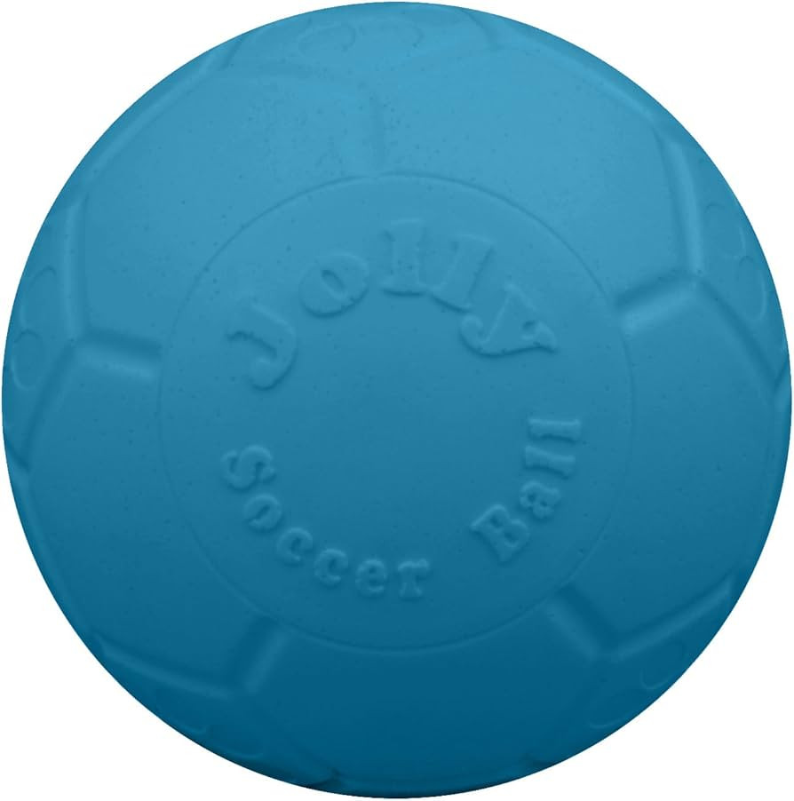 Jolly Pets Large Soccer Ball Floating-Bouncing Dog Toy, 8 inch Diameter, Ocean Blue | Amazon (US)