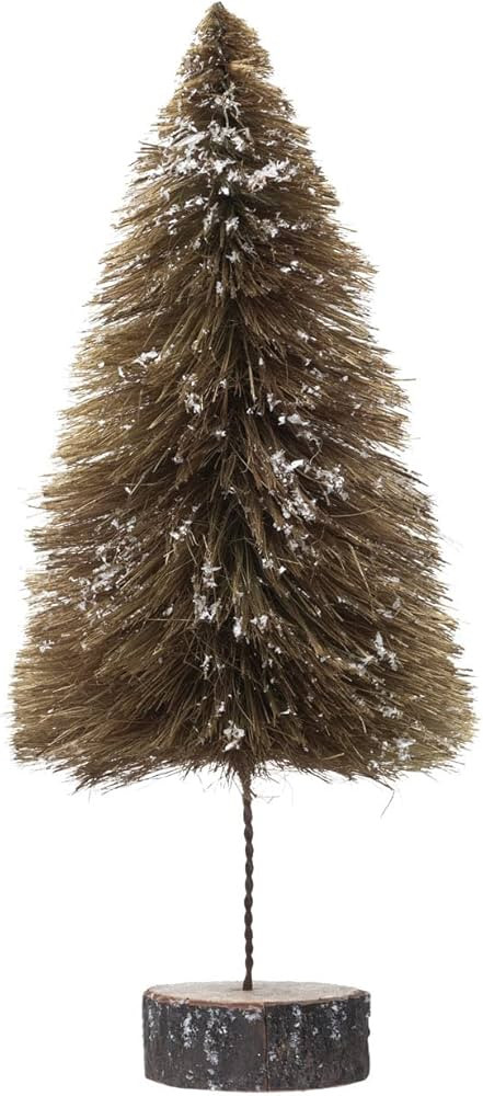 Visit the Creative Co-Op Store | Amazon (US)