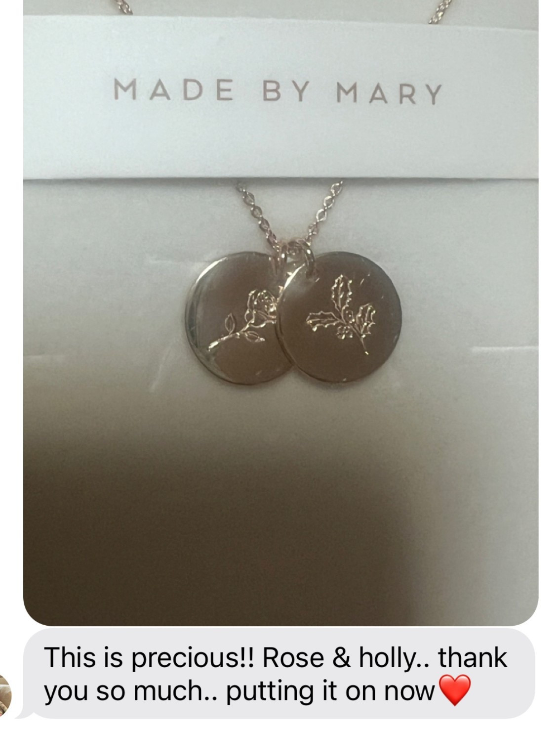 the best upgrade to initial jewelry - a gold plated necklace with your kids’ or grandkids’ birth flowers! 👯‍♀️🌷✨

these are the 1/2” discs! christin owns + loves the 1/4” disc for an ever daintier look!

gifts for her//gifts for mom//grandma gifts//gift ideas for moms//MIL gifts//initial jewelry 

#LTKGiftGuide