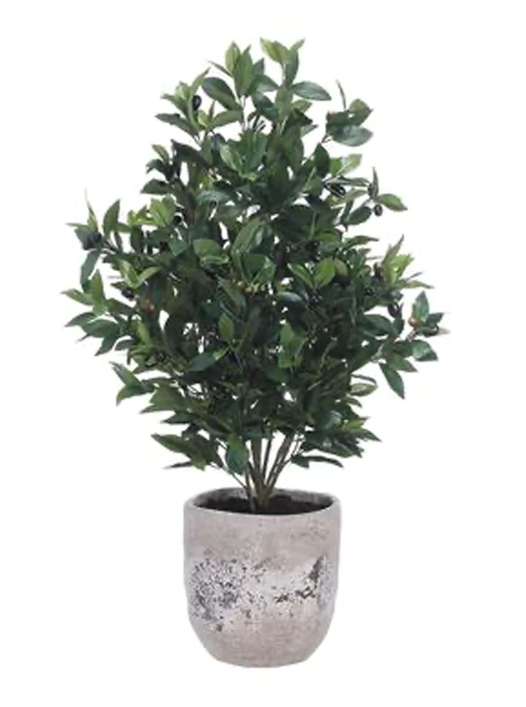 Potted 45" Faux Olive Tree | House of Jade Home