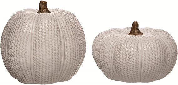 One Holiday Way Elegant Set of 2 Decorative Ceramic Knit White Faux Pumpkin Figurines with Brown ... | Amazon (US)