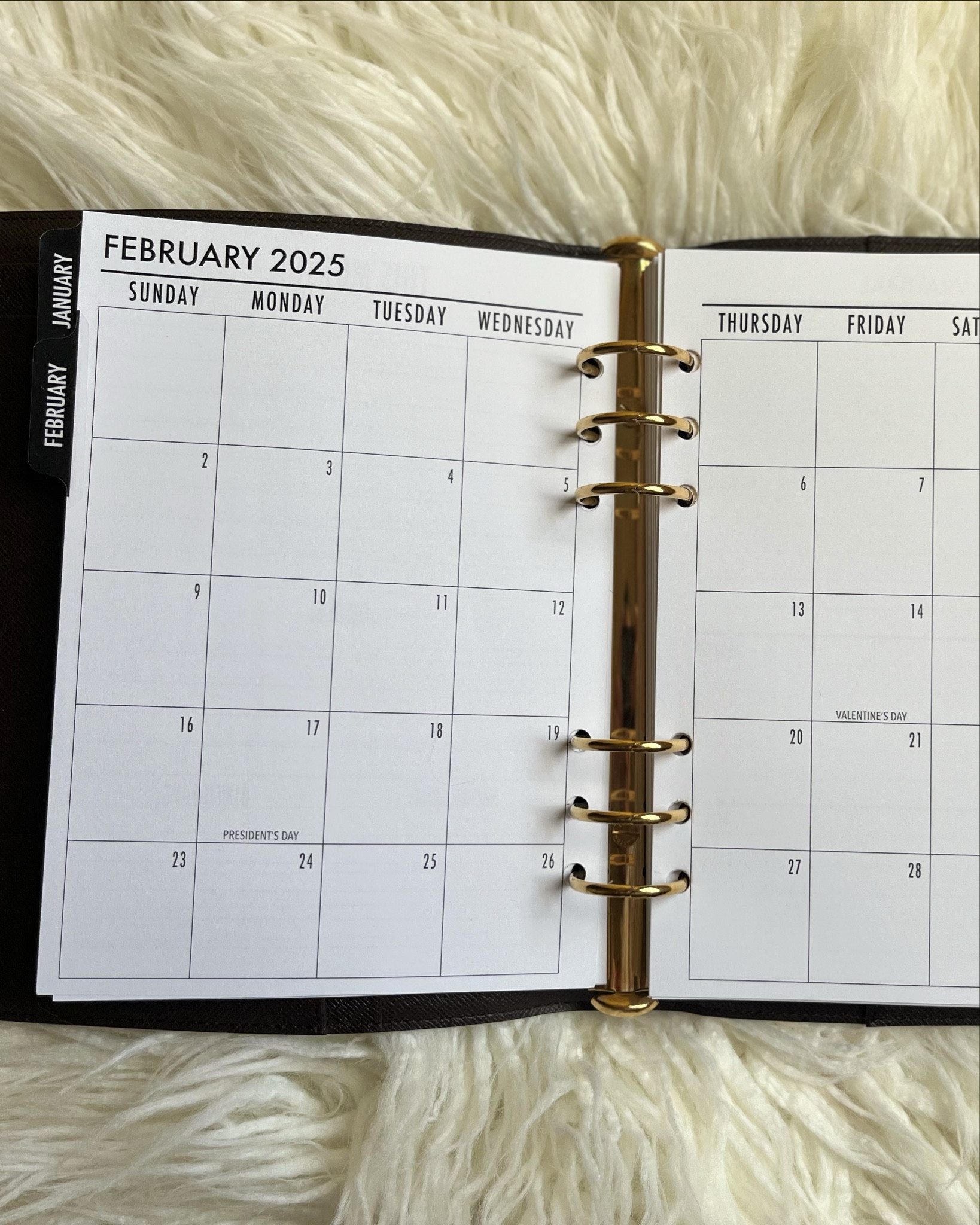 I have been ordering these planner inserts for a couple of years now. They are always cut well, ship quickly, and are able to be customized!

#LTKTravel #LTKHoliday #LTKGiftGuide